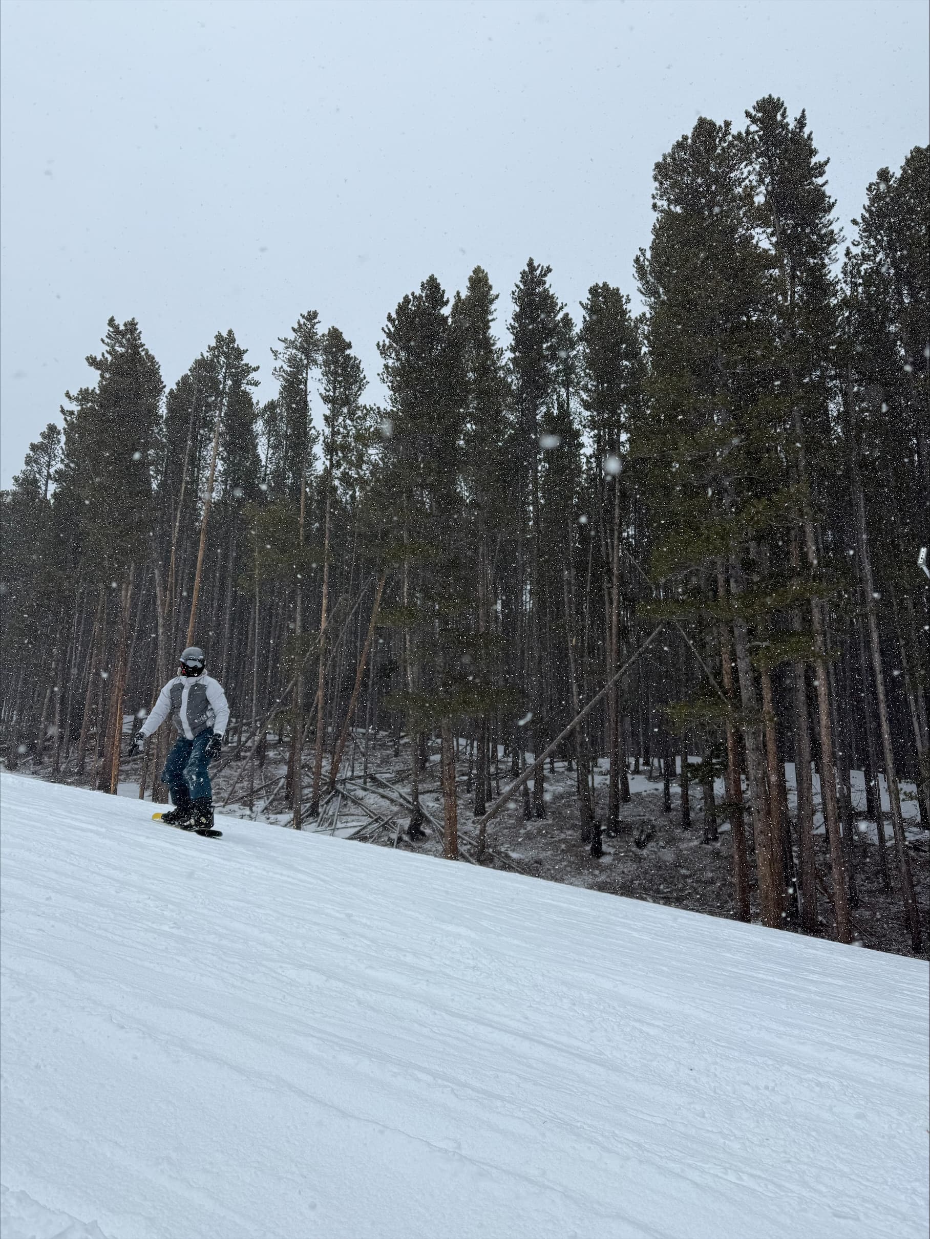 Snowboarding